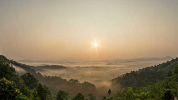 Timelapse Niebla sobre el bosque en el valle Vientos fuertes soplan, la niebla se desvanece y se desvanece. El sol cambia más alto durante las 9am . — Vídeo de stock