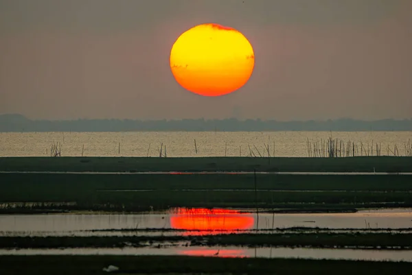 The large sunrise is orange. Sunrise over the sea and mangrove forest