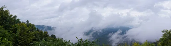 Panorama, nevoeiro na montanha atrás da floresta verde — Fotografia de Stock
