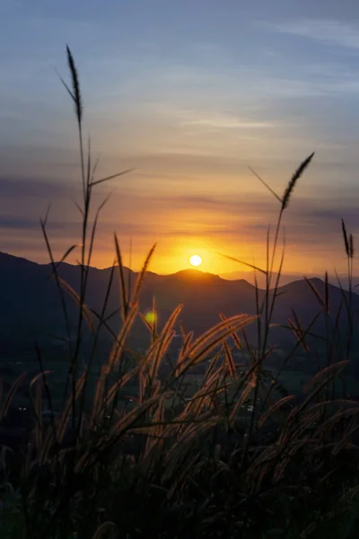 Pôr do sol atrás da montanha Flores, árvores e grama. Pôr do sol — Fotografia de Stock