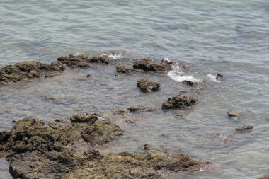 Deniz tarafından kireçtaşı ile oluşan kayalar