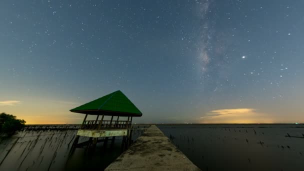 Vintergatan Vid Havet Mangroveskog Marin Och Kust Conservation Center Samut — Stockvideo
