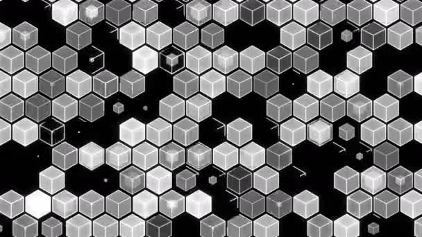 3D иллюстрация, абстрактный геометрический фон. Бело-чёрный тональный шкаф . — стоковое видео
