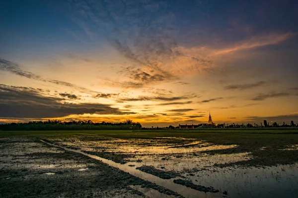 Céu Depois Pôr Sol Sobre Campos Arroz — Fotografia de Stock