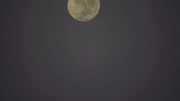 Luna Nella Notte Più Lontana Dell Anno Cadere Dietro Nebbia — Video Stock