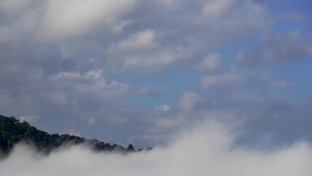 Рух Туману Через Гори Вранці Камулусові Хмари Йдуть Вітром Туман — стокове відео