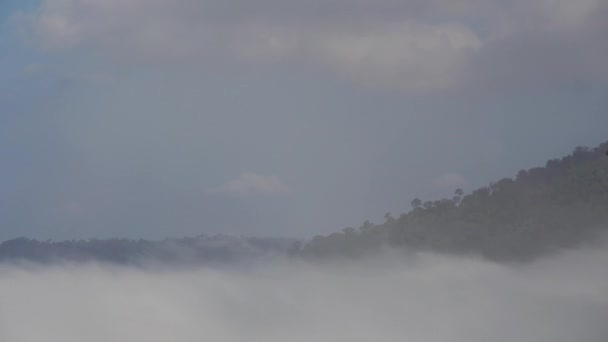 朝の山を介して霧の動き 積雲は風に従う タイのPhetchabun Khao Khoの霧 — ストック動画