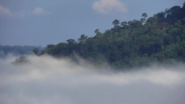 朝の山を介して霧の動き 積雲は風に従う タイのPhetchabun Khao Khoの霧 — ストック動画