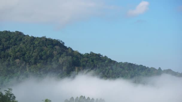 Movement Fog Mountains Morning Cumulus Clouds Follow Wind Fog Khao — Stock Video