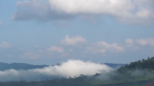 Beweging Van Mist Door Bergen Ochtend Cumulus Wolken Volgen Wind — Stockvideo