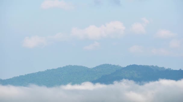 Movement Fog Mountains Morning Cumulus Clouds Follow Wind Fog Khao — Stock Video