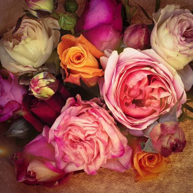 Bir demet gül güzel çiçek arka planı