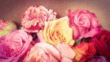 Romantik mahsul güller demet demet demet kağıt