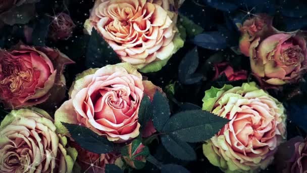 Rosa Rosor Vacker Ros Blommor Bukett Gäng Bakgrund — Stockvideo