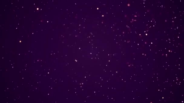 Glitter Gnistrande Bakgrund Stjärnor Animation — Stockvideo