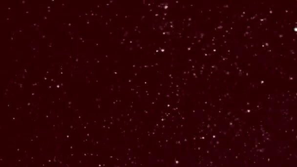 Stardust Espumante Vermelho Brilho Estrelas Brilhante Fundo — Vídeo de Stock