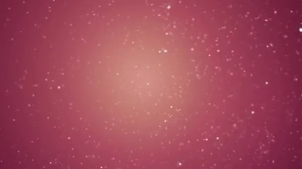 Hvězdicově Růžové Třpytky Hvězdy Pozadí Jiskřivé Mrknutí — Stock video
