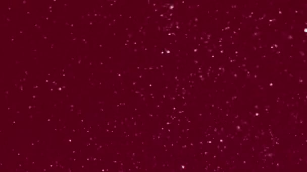 Animación Nieve Invierno Copos Nieve Escarchado Fondo Rojo — Vídeo de stock