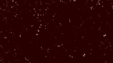 Kar animasyonu kış kar taneleri donuk arka planda