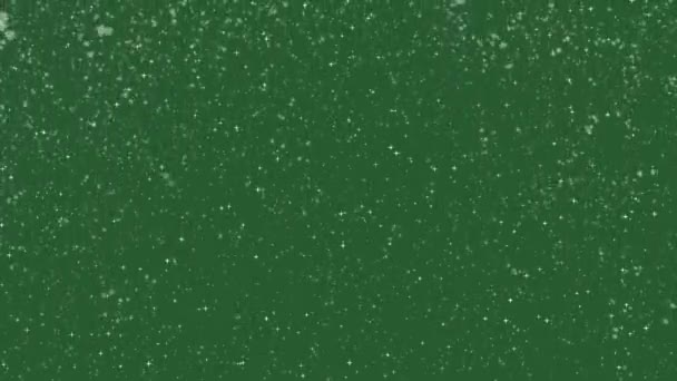 雪のアニメーション冬の雪の結晶凍てつく背景 — ストック動画