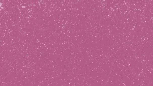 Animación Nieve Invierno Copos Nieve Fondo Rosa Helada — Vídeos de Stock