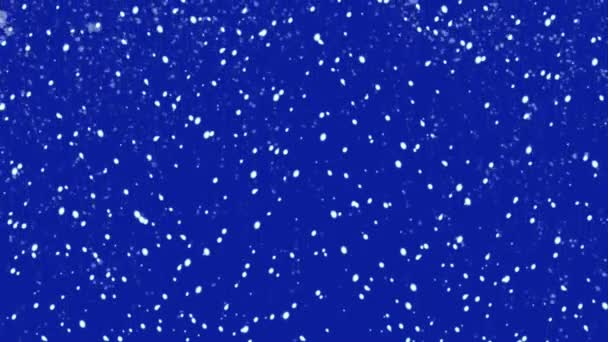 Flocos Neve Estrelas Inverno Nevar Neve Estrela Azul Fundo — Vídeo de Stock