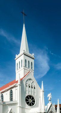 Singapur lourdes katolik eski kilise bizim bayan