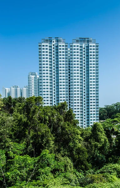 Singapore HDB residential building in green forest skyline — Stock Photo, Image