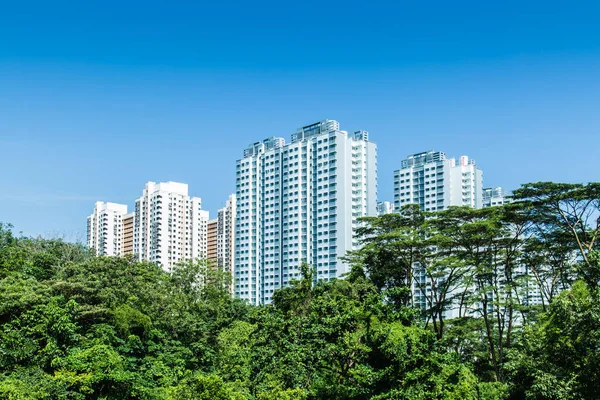 Singapore HDB residential building in green forest skyline — Stock Photo, Image