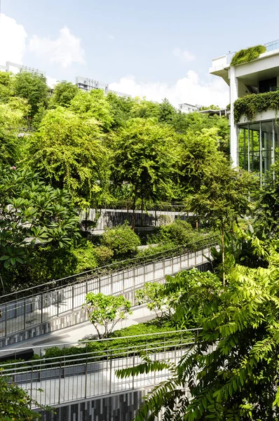 Сінгапур-27 июля 2019: Перше нове покоління 1 HDB центр сусідства Оазис тераси відкритий вид — стокове фото
