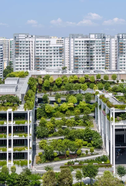 Singapore-27 JUL 2019: HDB's first new generation neighborhood center Oasis Terraces outdoor view — Stock Photo, Image