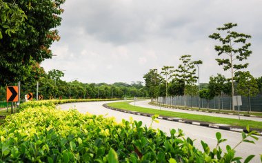 orman yeşil alanı ile eğri ülke yol