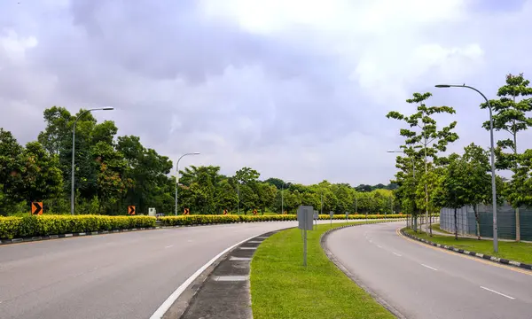 orman yeşil alanı ile eğri ülke yol