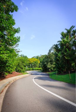 Tropikal ormanda virajlı yol manzarası