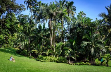 Singapur-16 Haziran 2018: Singapur botanik bahçesindeki çimlerde oturan yaşlı adam