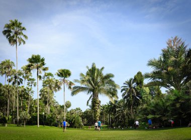 Singapur-16 Haziran 2018: Singapur botanik bahçesinde insanlar futbol oynuyor