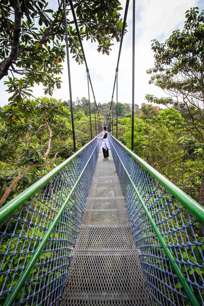 people Walking over the forest through a tree top walk in Singapore