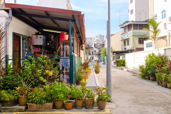 Σιγκαπούρη-24 Μαρ 2018: Σιγκαπούρη παραδοσιακή θέα στο δρόμο, κτίριο μπροστινή αυλή γεμάτη από φυτά — Φωτογραφία Αρχείου