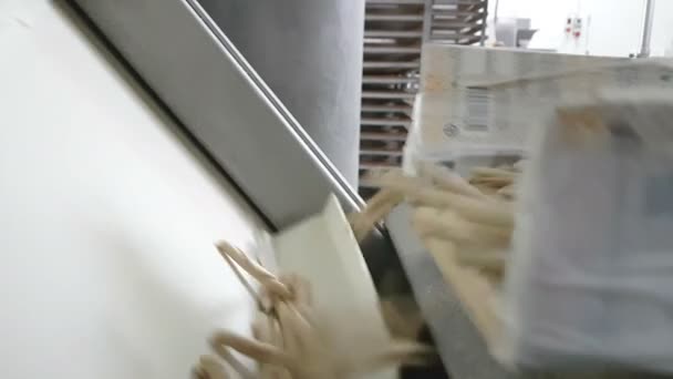 Industrielle Teigwarenproduktion Nahaufnahme — Stockvideo
