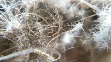 elektrikli süpürge kirli ev - makro görünüm