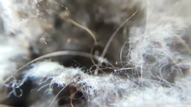 elektrikli süpürge torbası makro closeup görünümünde toz