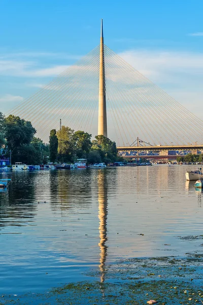 Belgrade Serbie Juin 2018 Vue Latérale Pont Ada Avec Réflexion — Photo