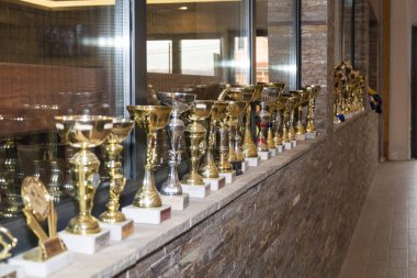 Belgrad, Sırbistan 17 Kasım 2016: Spor kupaları siparişi