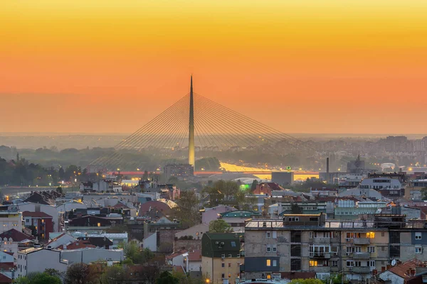 Belgrad Serbien April 2017 Ada Brücke Belgrad — Stockfoto