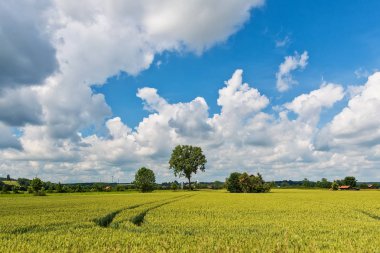 Alan ile Bavyera Pastoral manzara