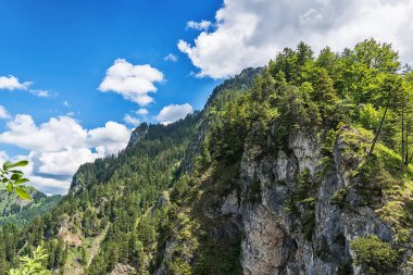 Fuessen'deki Neuschwanstein Kalesi'nden Manzara ve Forggensee Gölü manzarası