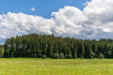 Yeşil çayırlar ve bulutlar ile Alpler'de Pastoral manzara