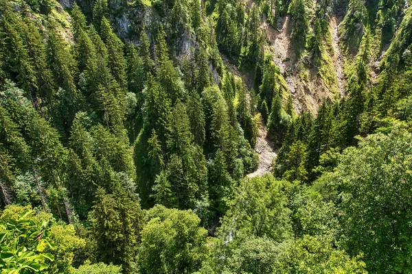 Fuessen'deki Neuschwanstein Kalesi'nden Manzara ve Forggensee Gölü manzarası