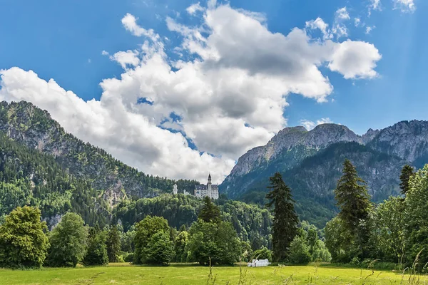 Hohenschwangau Alemanha Junho 2018 Idílico Castelo Neuschwanstein Posicionado Alto Uma — Fotografia de Stock