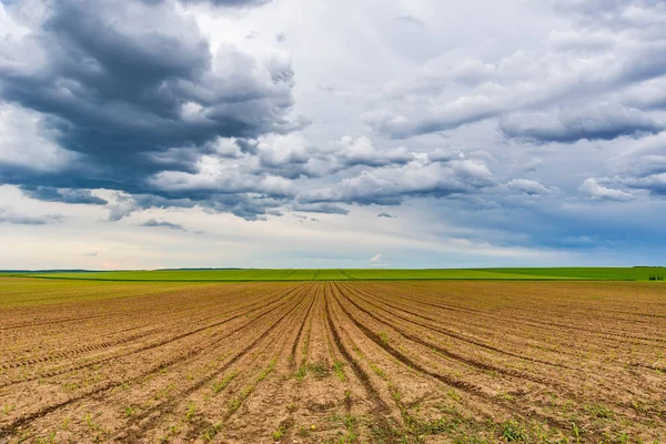 Champ Agricole Fluide Nuages Dans Ciel — Photo